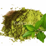 Как сделать сухой экстракт зеленого чая в домашних условиях